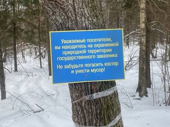 От сухостоя очистят земли вокруг озера Белого под Шатурой