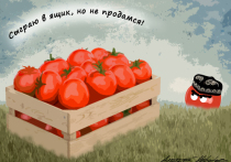 Кто покупает томаты по 1200

