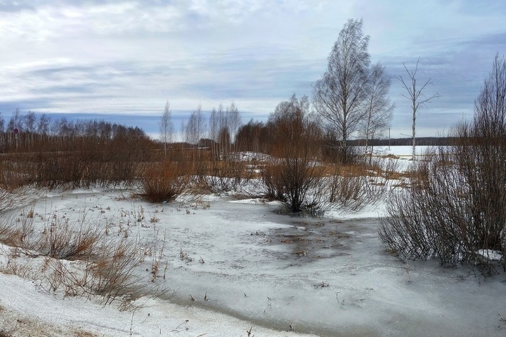 После аномального тепла жителей Костромской области ждет суровое похолодание
