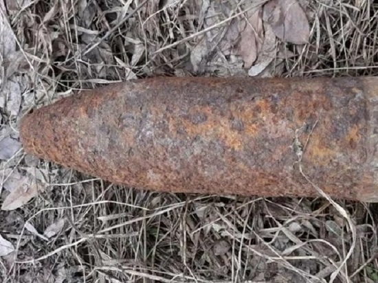 В Смоленской области найдены очередные взрывоопасные предметы времён ВОВ