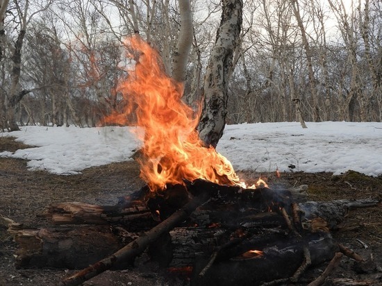 С начала года пожарные потушили 23 пала травы на территории Красноярского края