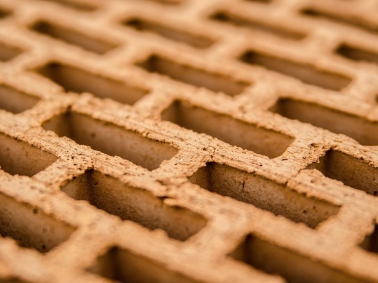 Жительнице Карелии прилетел на голову выброшенный из окна кирпич