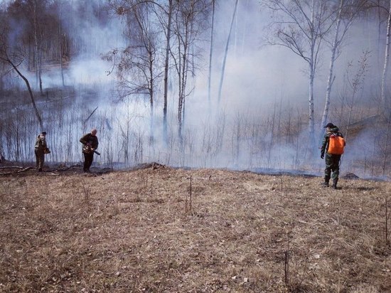 Три лесных пожара потушили в Приангарье за сутки