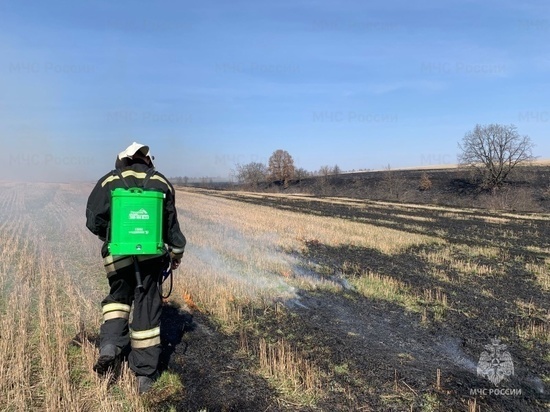 В Орловской области продолжается бесконтрольное сжигание сухой травы