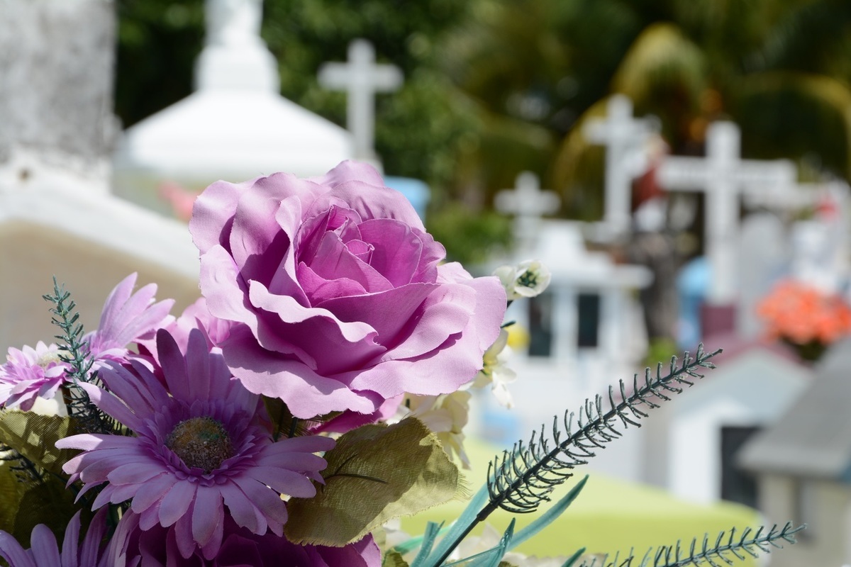 Кладбищенские цветы