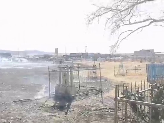 Забайкалец рассказал, случайно устроил пожар на кладбище в Улётах