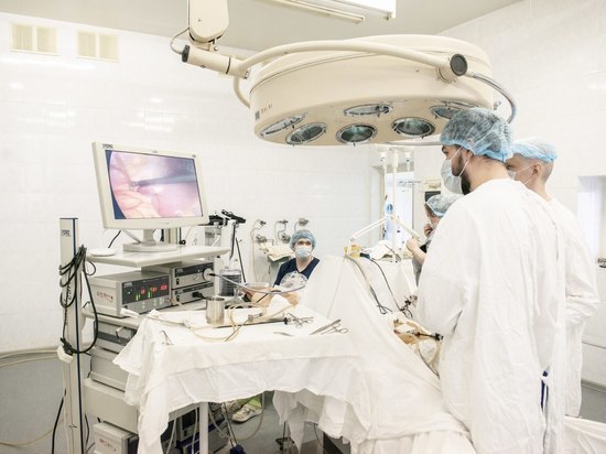 Врачи в Солнечногорске спасли жизнь мужчине после ножевого ранения в сердце