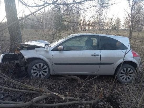 Воронежец в Липецкой области угнал машину и врезался на ней в дерево