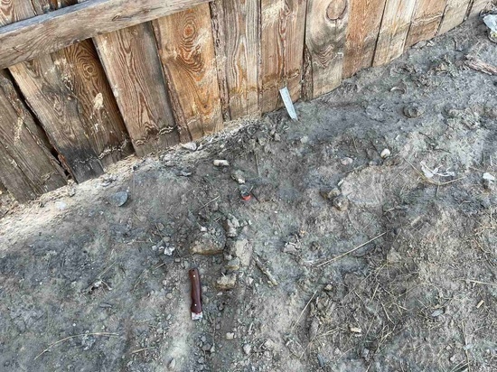 Жительница Тувы обвиняется  в жестоком убийстве малолетнего ребенка