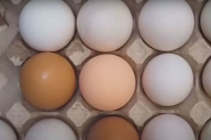Цены на яйца в странах. Яйца подешевели. Яйца России. Белорусские яйца в России. Цена на яйца по годам.