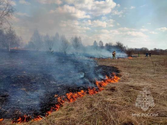 Целая деревня в Ивановской области едва не сгорела 12 апреля из-за пала травы
