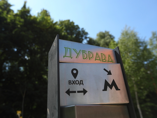 Власти Казани опровергли перевод участка лесопарка на Дубравной в земли поселений