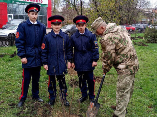 В центральном сквере Луганска появились уникальные сорта сирени