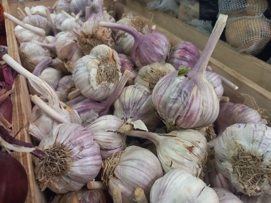 В Благовещенске торговцы-нелегалы оштрафованы почти на 350 тысяч рублей