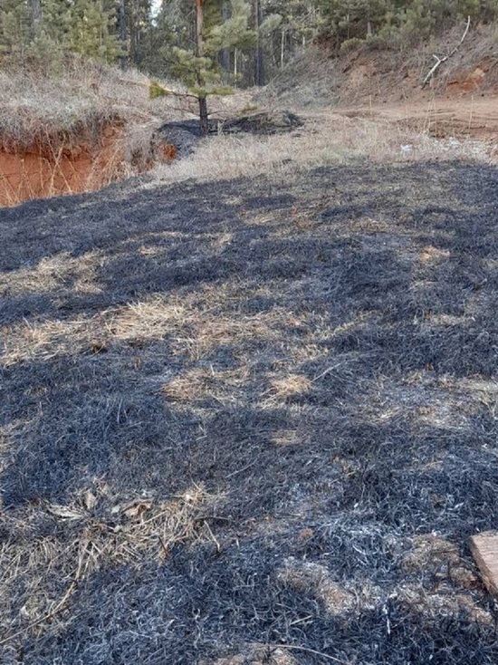 В Бурятии полицейские спасли лес от пожара