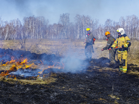 Прокуратура заинтересовалась причинами пожара возле железной дороги в Челябинске