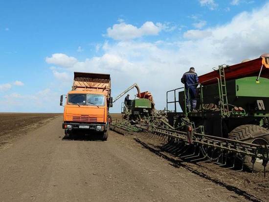 Больше 67 тысяч гектаров засеяли в Приамурье во время посевной кампании