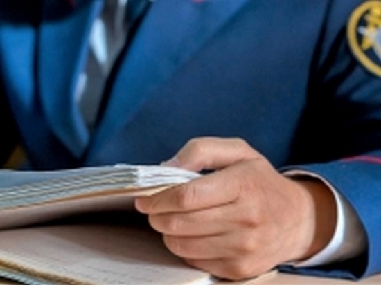 Уголовное дело за халатное воспитание матерью пятерых детей завели в Комсомольске