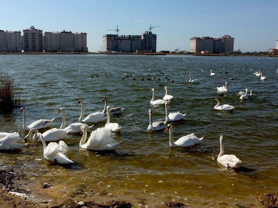 В Киеве потребовали превратить Черное море во внутреннее море НАТО