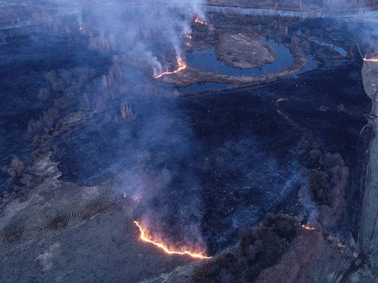 У реки Буй ландшафтный пожар распространился почти на 200 гектаров