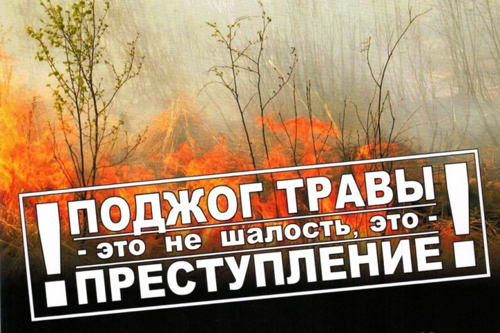 Из-за возгорания сухой растительности в городском округе Мантурово пострадали четыре строения