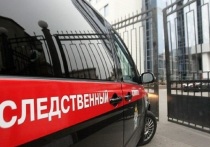 Московское управление Следственного комитета сообщило в своем телеграм-канале об обнаружении «скелетированных останков» в квартире жилого дома на улице Дубнинской