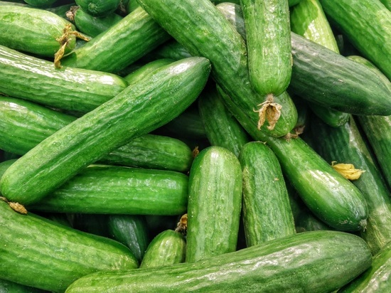 В Курской области за неделю цена на свежие огурцы возросла на 6,3%