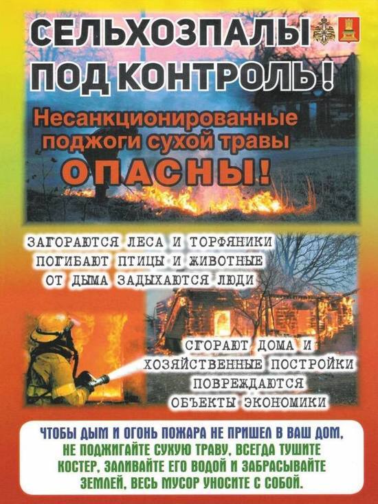 В Тверской области проходит профилактика палов сухой травы и лесных пожаров