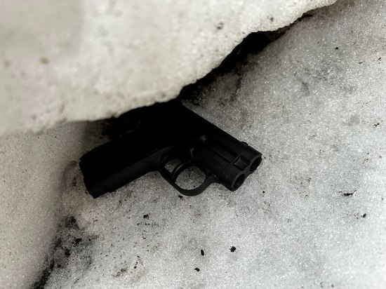 Пистолет, из которого стрелял подросток в школе на проспекте Науки, оказался пластмассовым