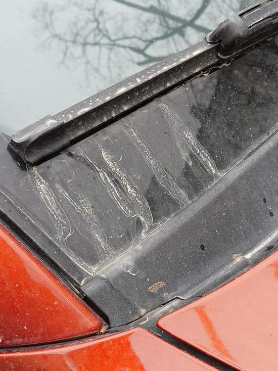 В Воронеже прошел встревоживший горожан «пыльный» дождь