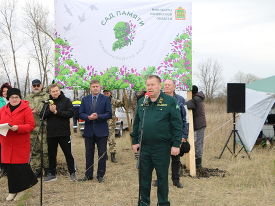 «Сады памяти» в Пензенской области пополнились 6 тысячами сосен