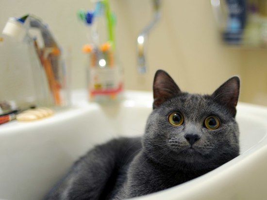 Холодную воду отключили в нескольких домах Павловского Посада из-за аварии