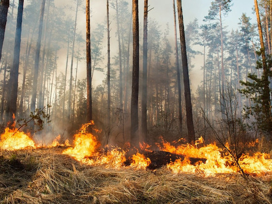 Для ремонта лесопожарной техники в Приангарье прорабатывают вопрос о выделении 64 млн рублей