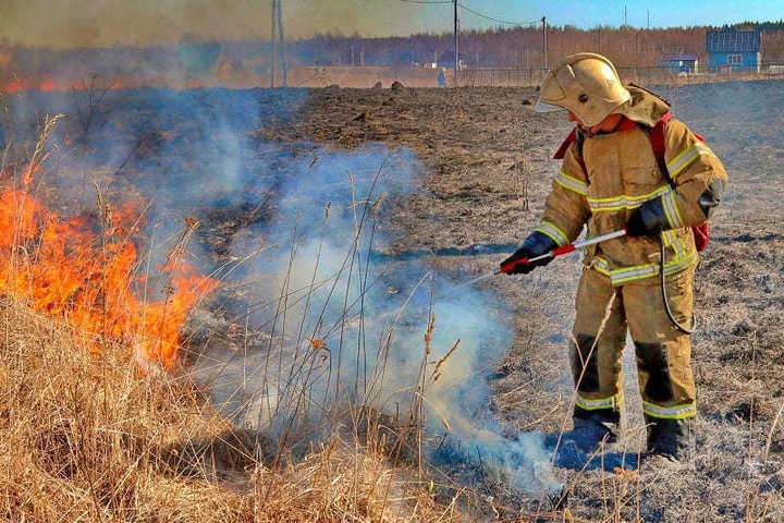 Костромские ЧП: из-за пала травы едва не сгорела деревня в Мантуровском районе