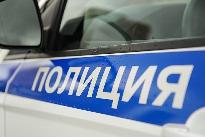 В Костроме прогулка первоклассницы обернулась для ее родителей знакомством с полицией