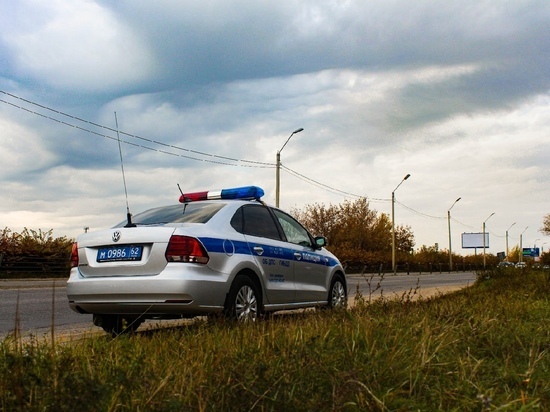 Рязанские госавтоинспекторы с помощью системы «Паутина» выявили водителей-должников