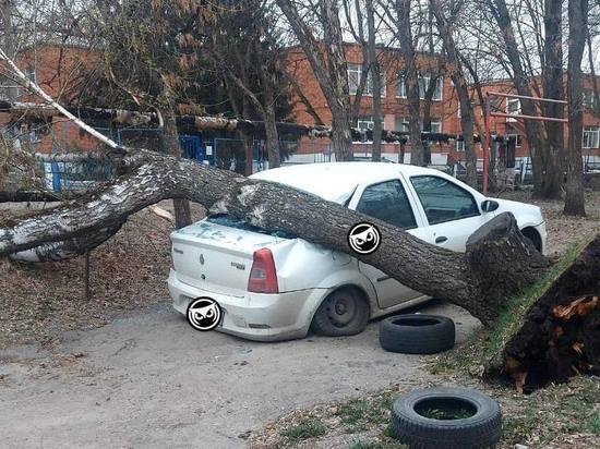 В Пензе на машину упало дерево