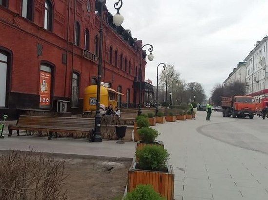 В Пензе на площадь Ленина привезли вазоны с кустарниками