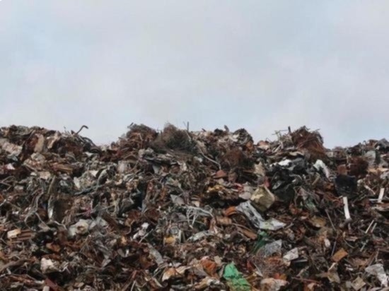 Омский суд признал завышенными тарифы “Магнита” на вывоз мусора