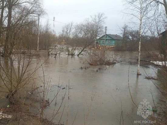 В Новгородской области в зоне затопления находятся более 500 участков