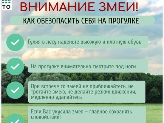 Ужи и гадюки: жителям Тверской области напоминают о проснувшихся змеях