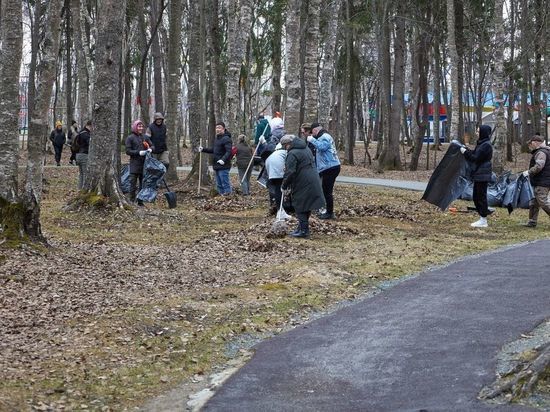 Более 50 тонн мусора собрали жители Южно-Сахалинска за чистую пятницу