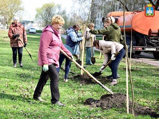 В Орле началась высадка деревьев