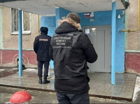 Дебошира, напавшего на фельдшеров скорой помощи, наказали исправительными работами в Саратове