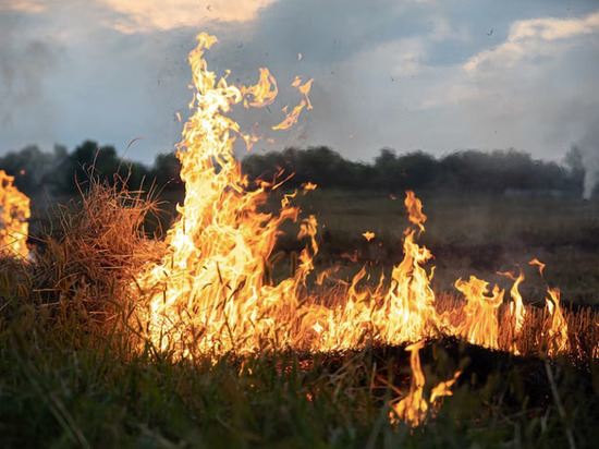 В Липецкой области действует особый противопожарный режим