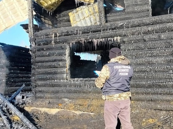 Три человека погибли при пожаре в городе Асино Томской области