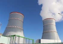 Атомный сектор России следует включить в 11-й пакет санкций, заявил вице-канцлер ФРГ, министр по делам экономики и защиты климата Роберт Хабек