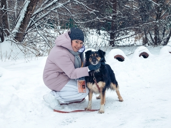 Помощь участникам СВО и корм для приютских животных: на Ямале стартовала Неделя добра