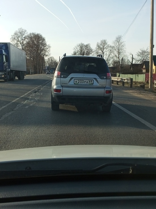 В Тверской области водитель чуть не врезался в кафе из-за женщины