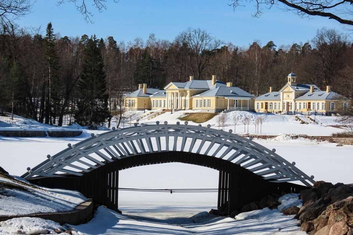 Монрепо просушка. Монрепо китайские мостики. Долина Розенталь в Монрепо. Музей-заповедник «парк Монрепо». Парк Монрепо китайские мостики зимой.